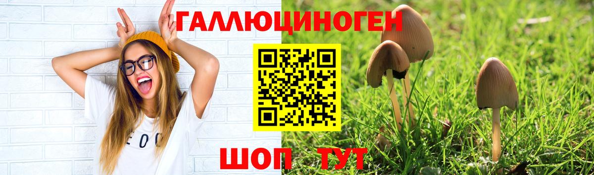 Галлюциногенные грибы MAGIC MUSHROOMS  Галлюциногенные грибы мухоморы  купить закладку  Острогожск  Вход с VPN 